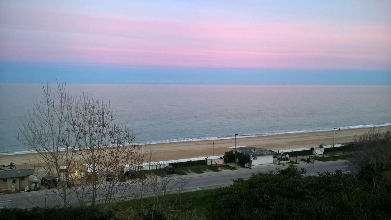 Affittacamere View Affittacamere *